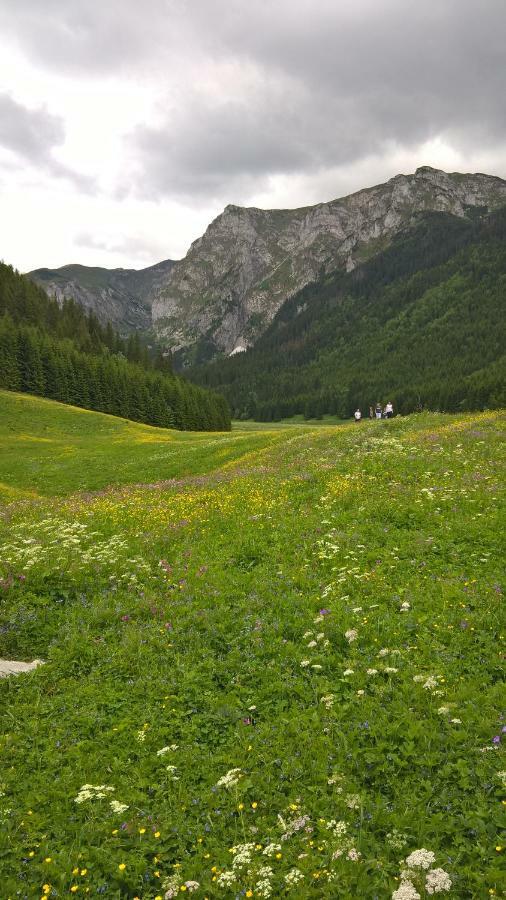 33.13.a. Apartment Zakopane