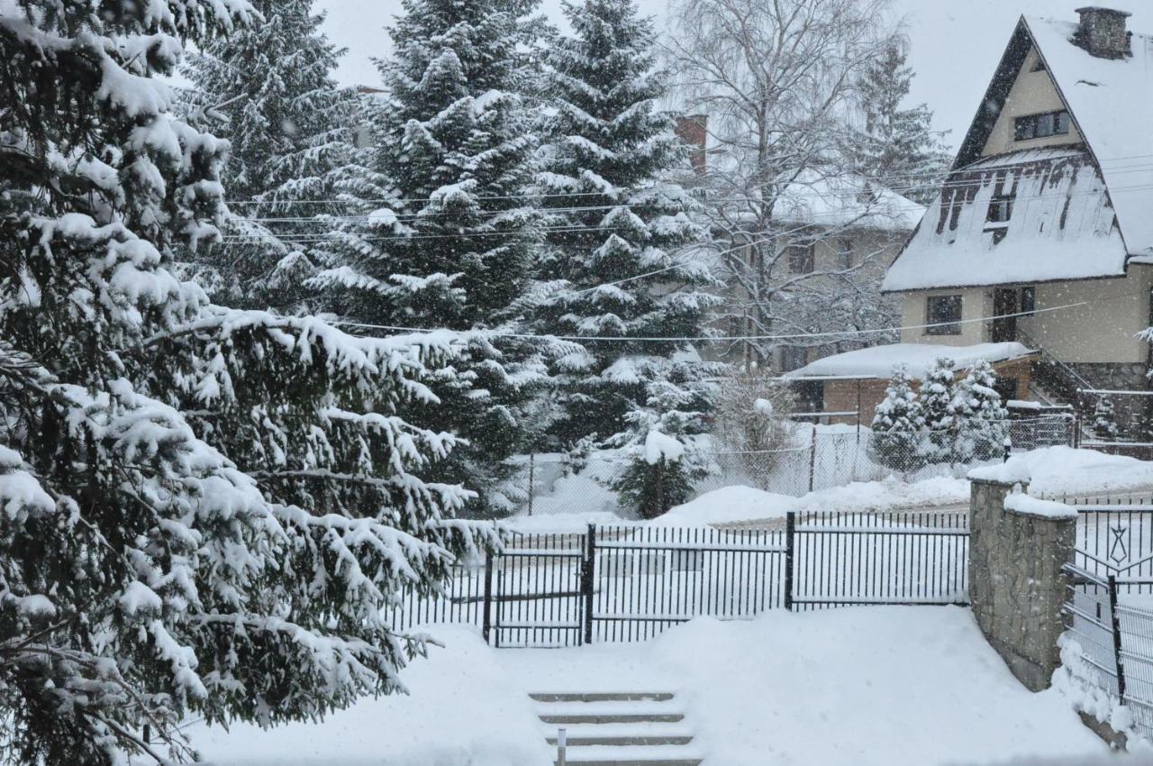 33.13.a. * Zakopane